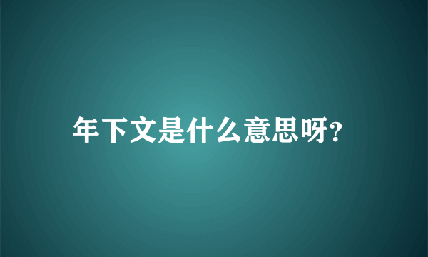 年下文是什么意思呀？