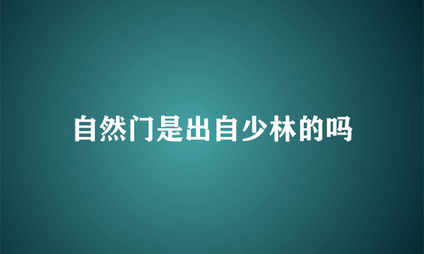 自然门是出自少林的吗