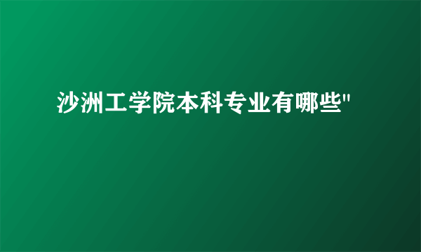 沙洲工学院本科专业有哪些