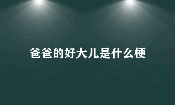 爸爸的好大儿是什么梗