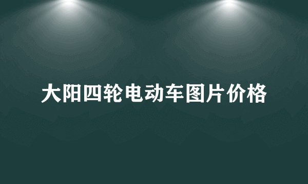 大阳四轮电动车图片价格