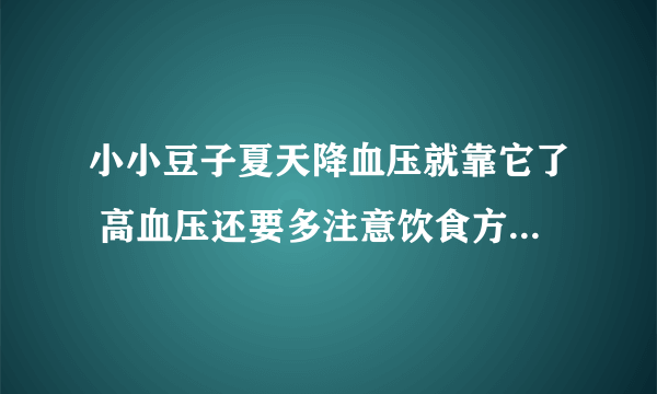 小小豆子夏天降血压就靠它了 高血压还要多注意饮食方法的禁忌