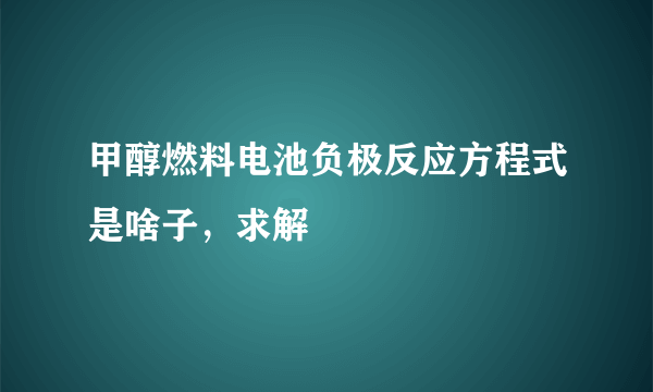 甲醇燃料电池负极反应方程式是啥子，求解