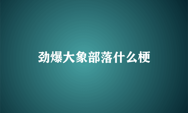 劲爆大象部落什么梗