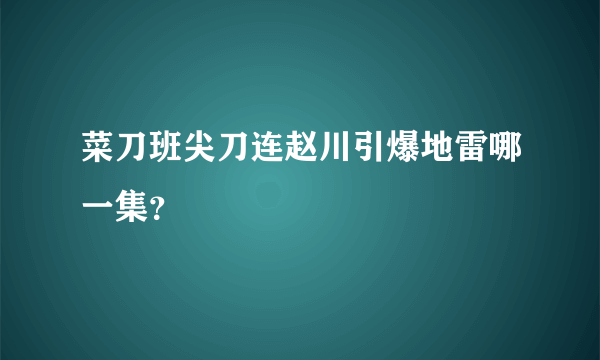 菜刀班尖刀连赵川引爆地雷哪一集？