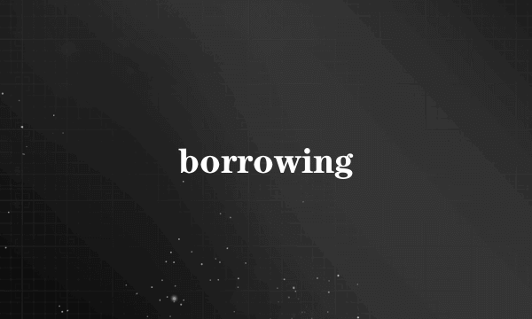 borrowing