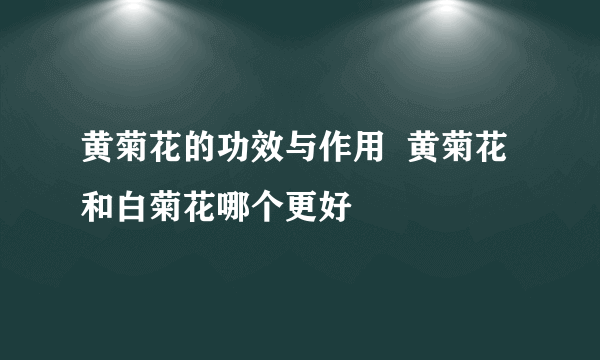 黄菊花的功效与作用  黄菊花和白菊花哪个更好