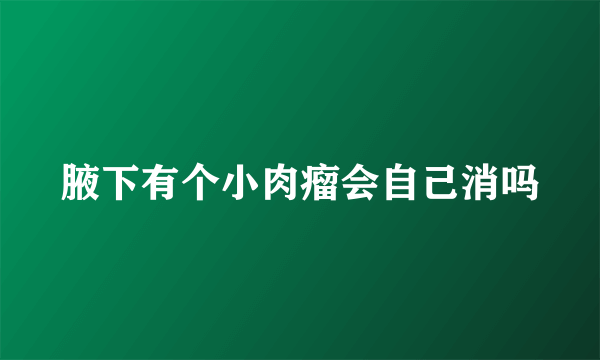 腋下有个小肉瘤会自己消吗