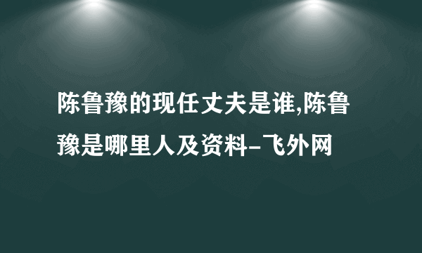 陈鲁豫的现任丈夫是谁,陈鲁豫是哪里人及资料-飞外网