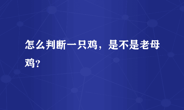 怎么判断一只鸡，是不是老母鸡？