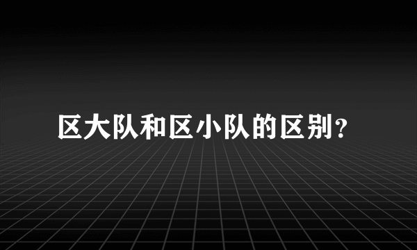 区大队和区小队的区别？