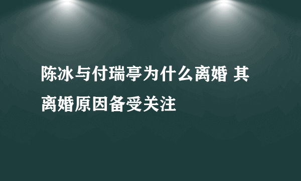 陈冰与付瑞亭为什么离婚 其离婚原因备受关注