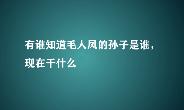 有谁知道毛人凤的孙子是谁，现在干什么