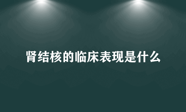 肾结核的临床表现是什么