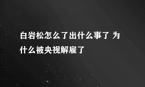 白岩松怎么了出什么事了 为什么被央视解雇了