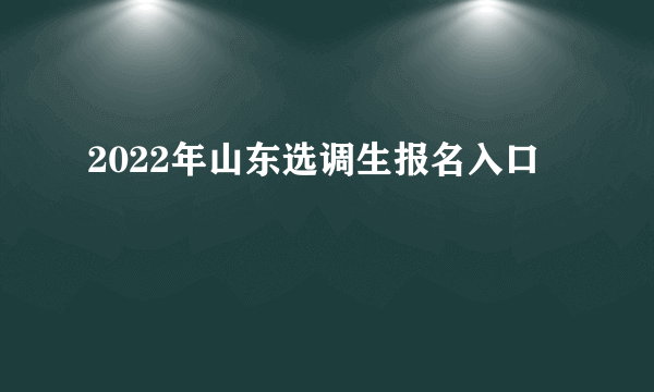 2022年山东选调生报名入口