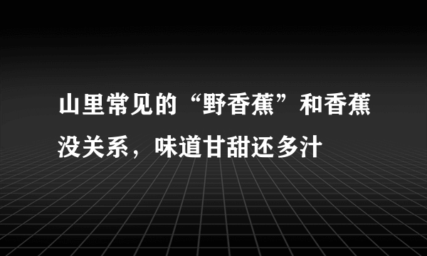 山里常见的“野香蕉”和香蕉没关系，味道甘甜还多汁