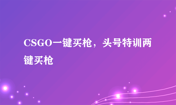 CSGO一键买枪，头号特训两键买枪