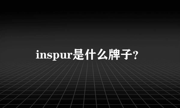 inspur是什么牌子？