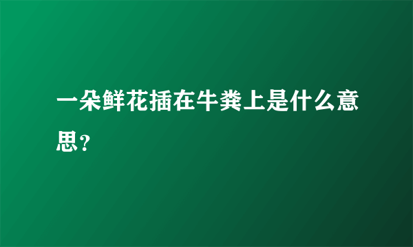 一朵鲜花插在牛粪上是什么意思？