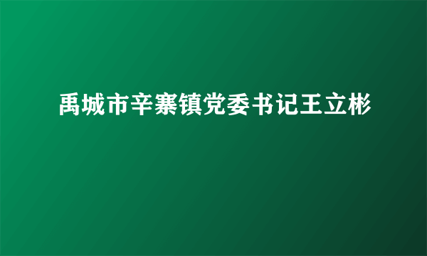 禹城市辛寨镇党委书记王立彬