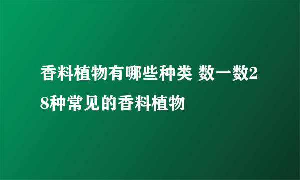 香料植物有哪些种类 数一数28种常见的香料植物