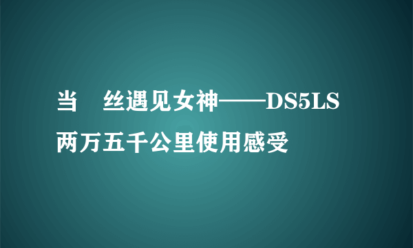 当屌丝遇见女神——DS5LS 两万五千公里使用感受