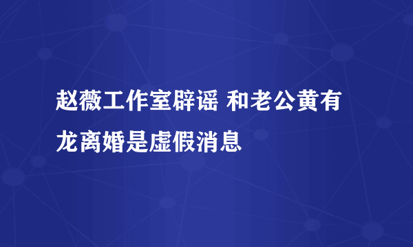 赵薇工作室辟谣 和老公黄有龙离婚是虚假消息