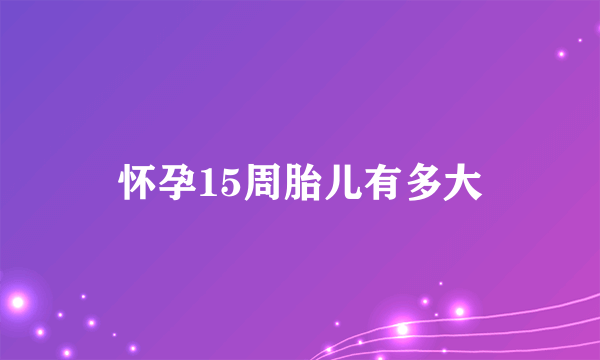 怀孕15周胎儿有多大