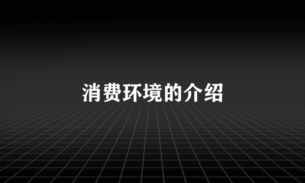 消费环境的介绍