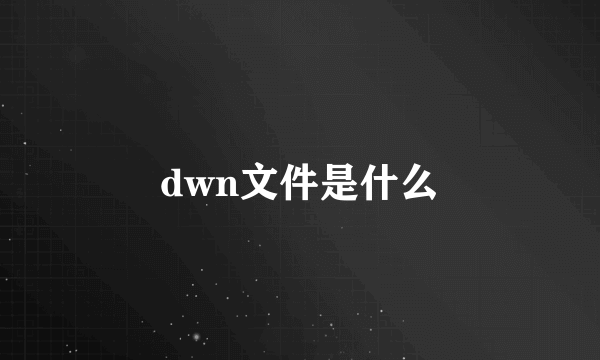 dwn文件是什么