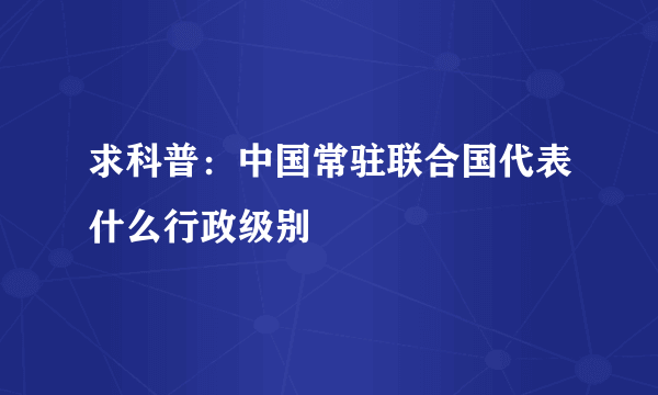 求科普：中国常驻联合国代表什么行政级别