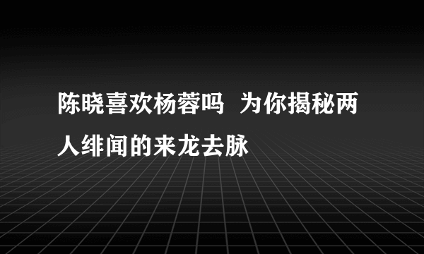 陈晓喜欢杨蓉吗  为你揭秘两人绯闻的来龙去脉