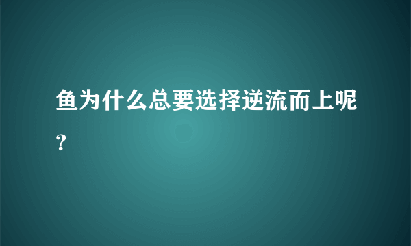 鱼为什么总要选择逆流而上呢？