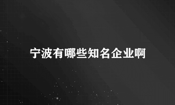 宁波有哪些知名企业啊