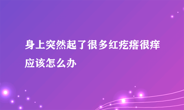 身上突然起了很多红疙瘩很痒应该怎么办