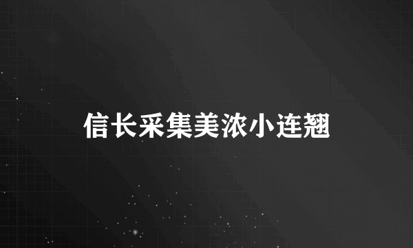 信长采集美浓小连翘