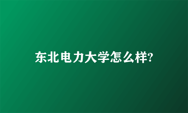 东北电力大学怎么样?