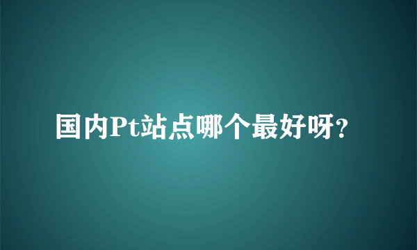 国内Pt站点哪个最好呀？