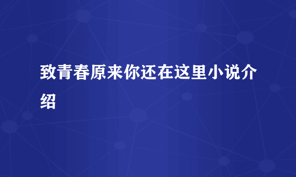 致青春原来你还在这里小说介绍