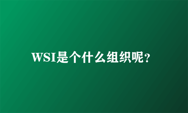 WSI是个什么组织呢？