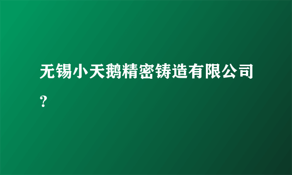 无锡小天鹅精密铸造有限公司？