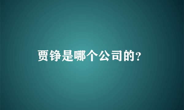 贾铮是哪个公司的？