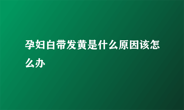 孕妇白带发黄是什么原因该怎么办