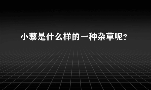 小藜是什么样的一种杂草呢？