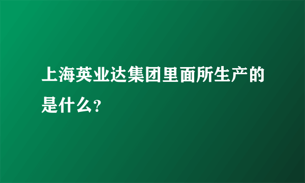 上海英业达集团里面所生产的是什么？