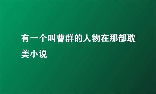 有一个叫曹群的人物在那部耽美小说