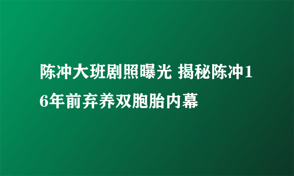 陈冲大班剧照曝光 揭秘陈冲16年前弃养双胞胎内幕