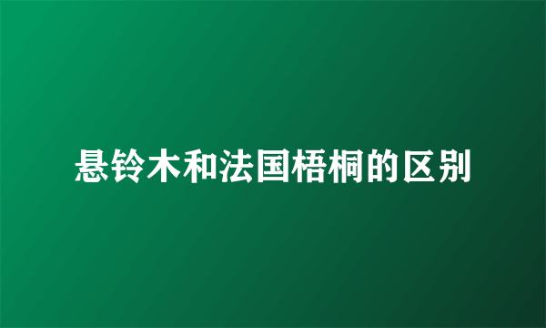 悬铃木和法国梧桐的区别