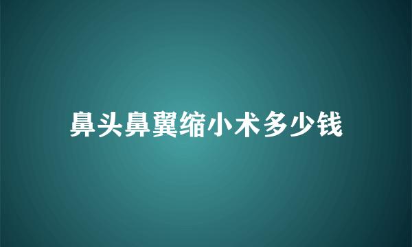 鼻头鼻翼缩小术多少钱